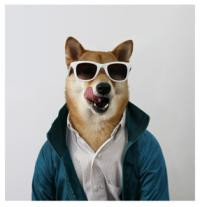 profile-image