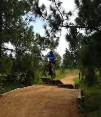 Wozzi69 profile image