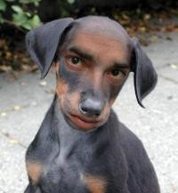 Jigghead profile image