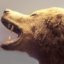 JustAgar profile image