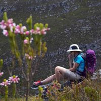 Hanlie De Bruin profile image