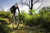 Darryl vd Merwe profile image