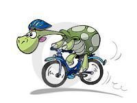 wana race profile image
