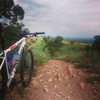 Dorpie profile image