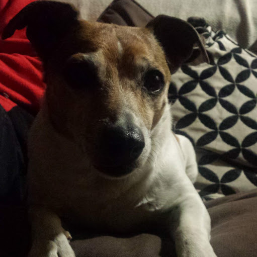 Karl Babst profile image