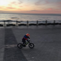 profile-image
