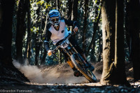 giant rail mips helmet