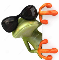 profile-image