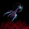 Ruan Wannenburg profile image