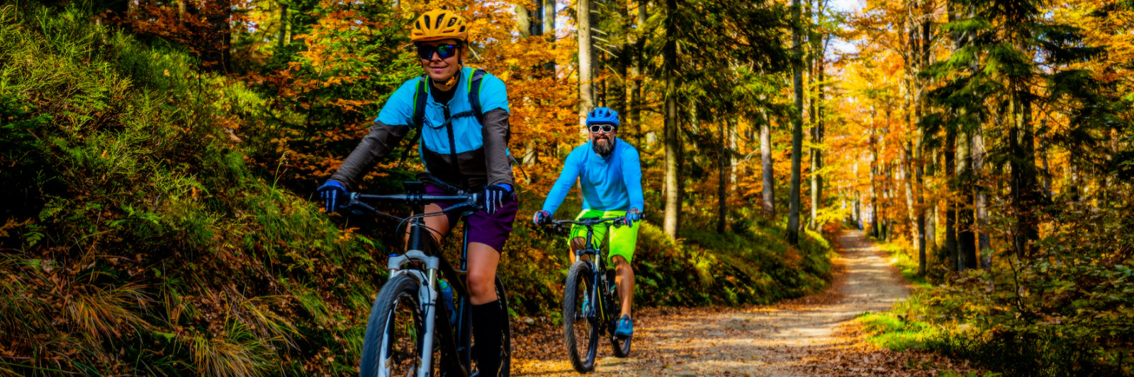 Chilled Squirrel Ebikes cover banner