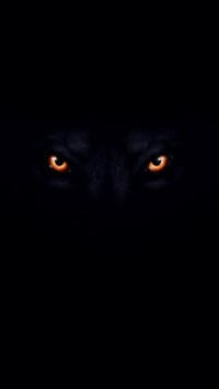 Shawn Atkins profile image