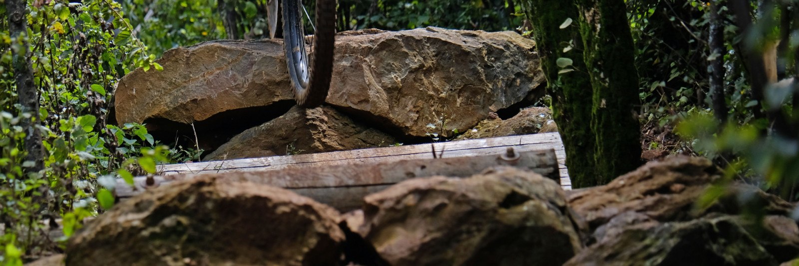 Trailwolf Cycles cover banner