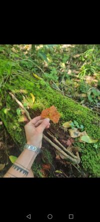 Geraldine Steenkamp profile image